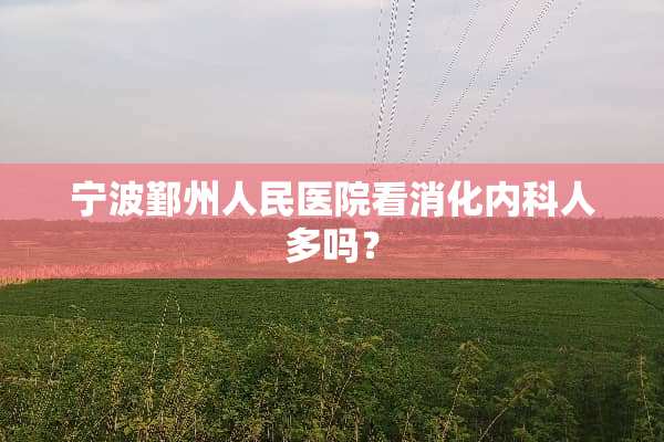 宁波鄞州人民医院看消化内科人多吗？