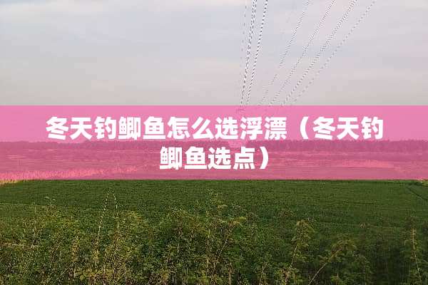 冬天钓鲫鱼怎么选浮漂（冬天钓鲫鱼选点）