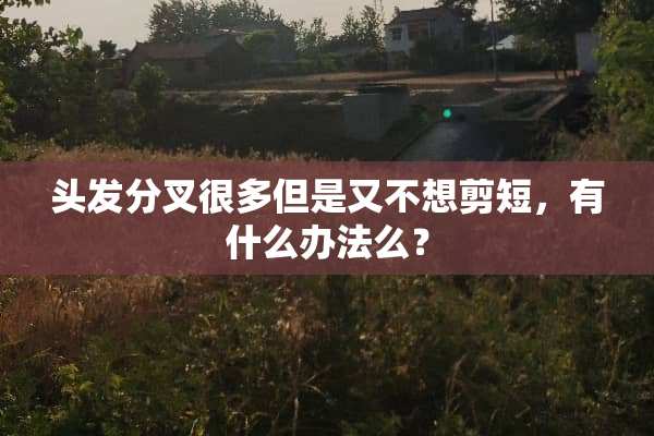 头发分叉很多但是又不想剪短，有什么办法么？
