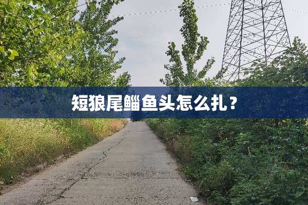 短狼尾鲻鱼头怎么扎？