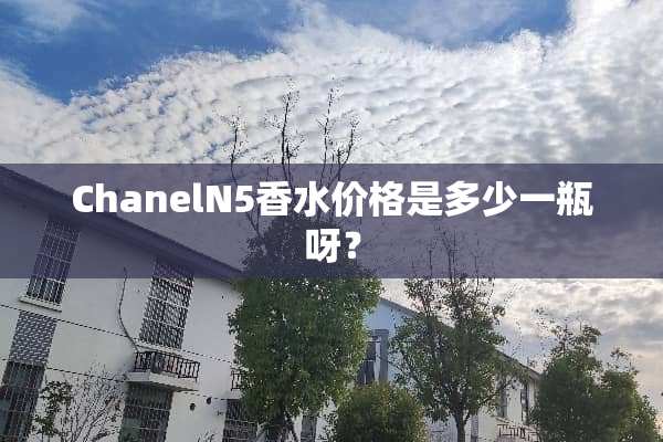 ChanelN5香水价格是多少一瓶呀？