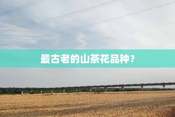 最古老的山茶花品种？