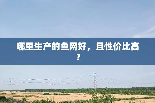 哪里生产的鱼网好，且性价比高？