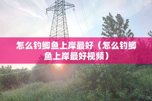 怎么钓鲫鱼上岸最好（怎么钓鲫鱼上岸最好视频）