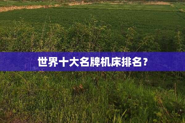 世界十大名牌机床排名？