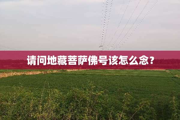 请问地藏菩萨佛号该怎么念？