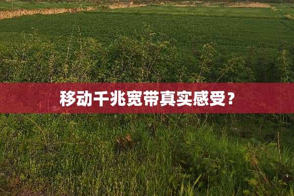 移动千兆宽带真实感受？