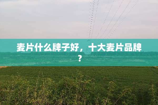 麦片什么牌子好，十大麦片品牌？