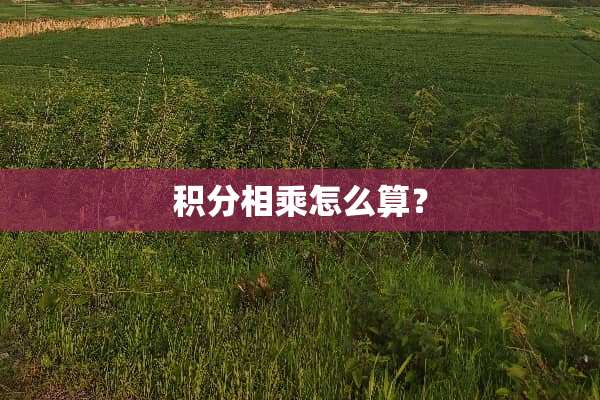 积分相乘怎么算？
