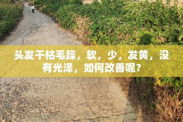 头发干枯毛躁，软，少，发黄，没有光泽，如何改善呢？