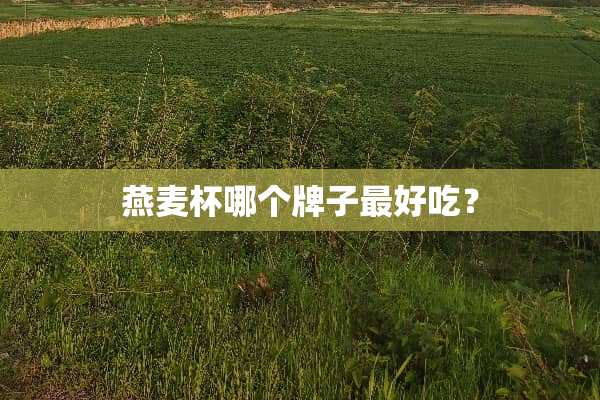燕麦杯哪个牌子最好吃？