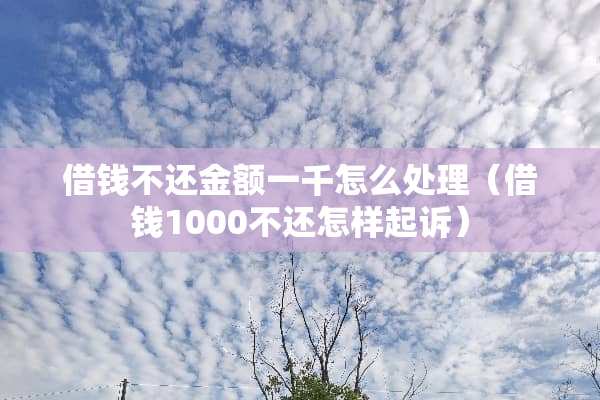 借钱不还金额一千怎么处理（借钱1000不还怎样起诉）