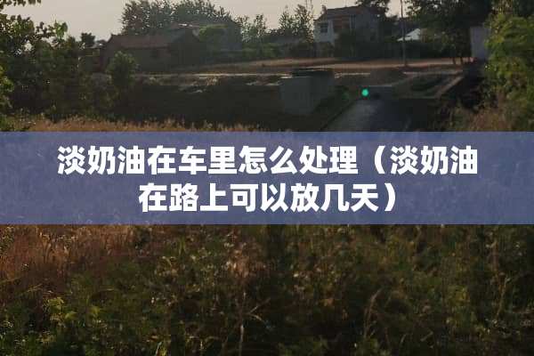 淡奶油在车里怎么处理（淡奶油在路上可以放几天）