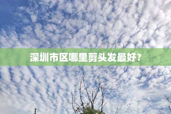 深圳市区哪里剪头发最好？