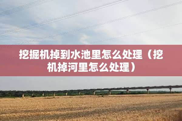 挖掘机掉到水池里怎么处理（挖机掉河里怎么处理）
