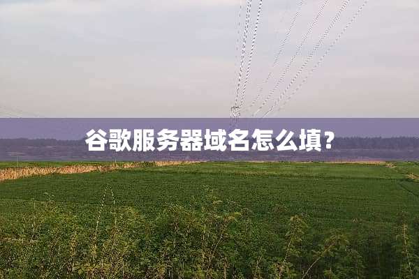 谷歌服务器域名怎么填？