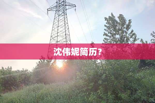 沈伟妮简历？
