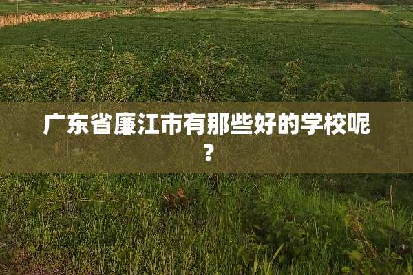 广东省廉江市有那些好的学校呢？