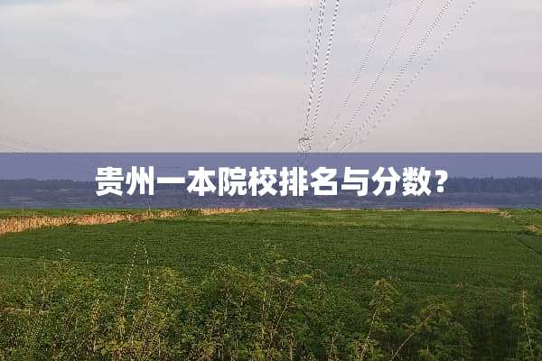 贵州一本院校排名与分数？