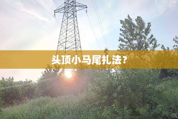 头顶小马尾扎法？