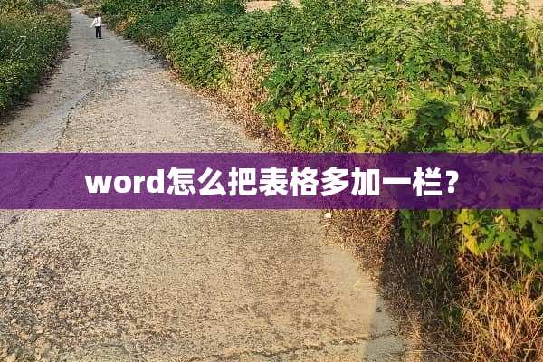 word怎么把表格多加一栏？