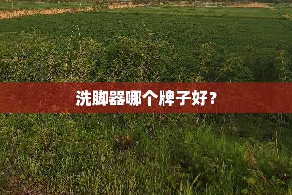 洗脚器哪个牌子好？