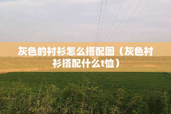 灰色的衬衫怎么搭配图（灰色衬衫搭配什么t恤）