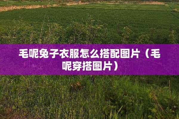 毛呢兔子衣服怎么搭配图片（毛呢穿搭图片）