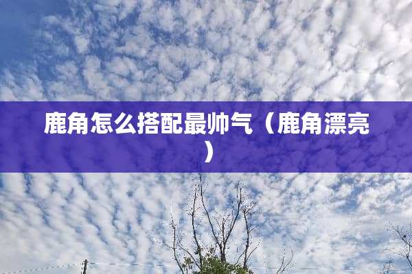 鹿角怎么搭配最帅气（鹿角漂亮）