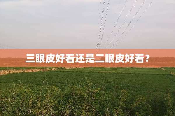 三眼皮好看还是二眼皮好看？