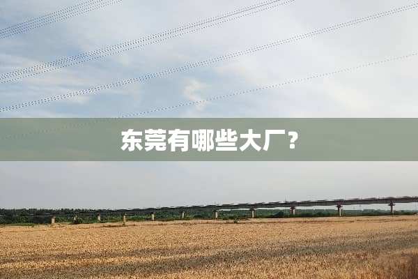 东莞有哪些大厂？