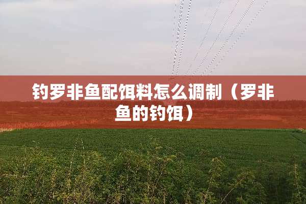 钓罗非鱼配饵料怎么调制（罗非鱼的钓饵）