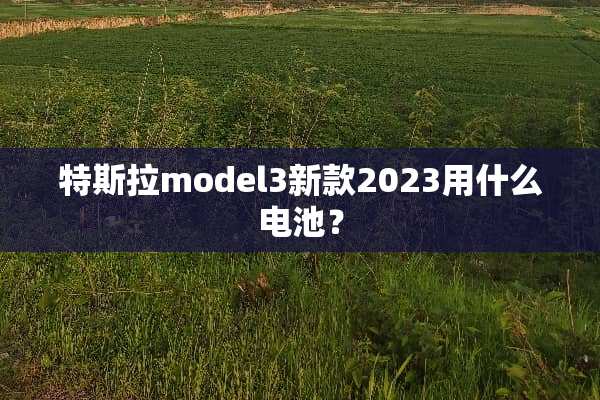 特斯拉model3新款2023用什么电池？