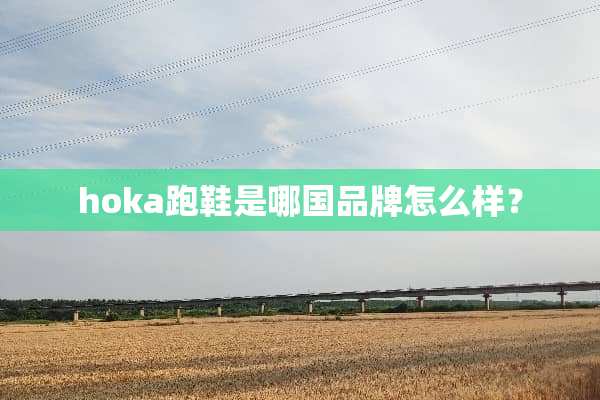 hoka跑鞋是哪国品牌怎么样？