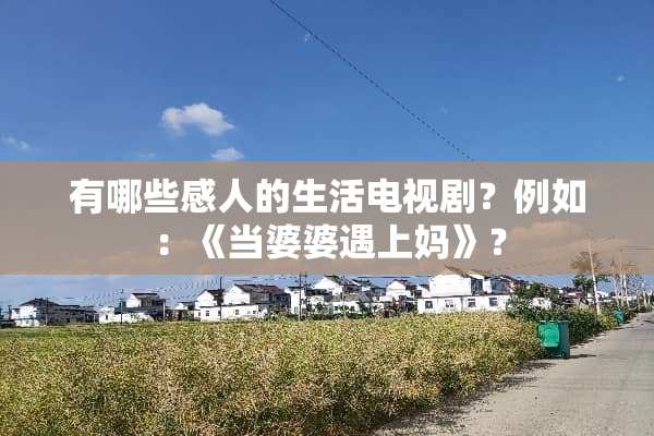 有哪些感人的生活电视剧？例如：《当婆婆遇上妈》？