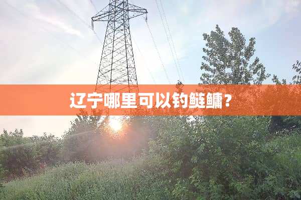 辽宁哪里可以钓鲢鳙？