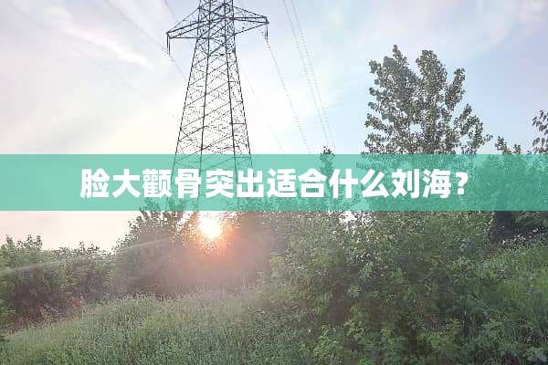 脸大颧骨突出适合什么刘海？