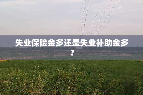 失业保险金多还是失业补助金多？