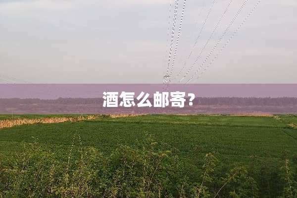 酒怎么邮寄？