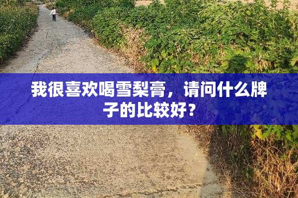 我很喜欢喝雪梨膏，请问什么牌子的比较好？