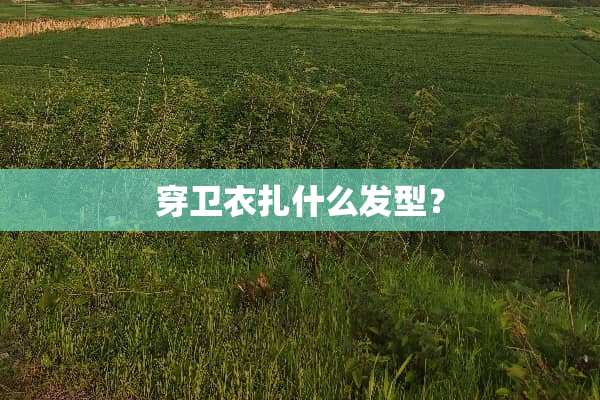 穿卫衣扎什么发型？