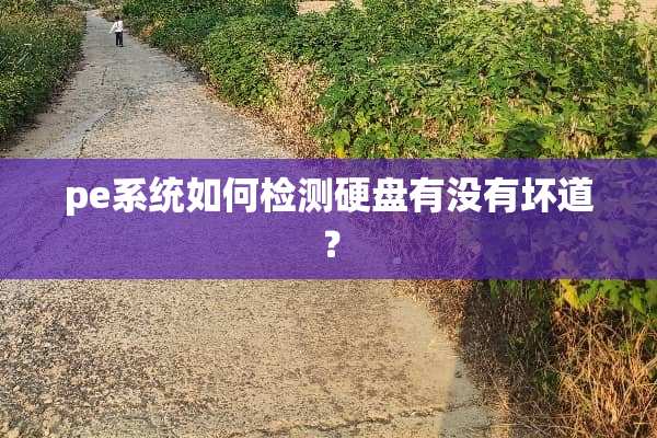 pe系统如何检测硬盘有没有坏道？