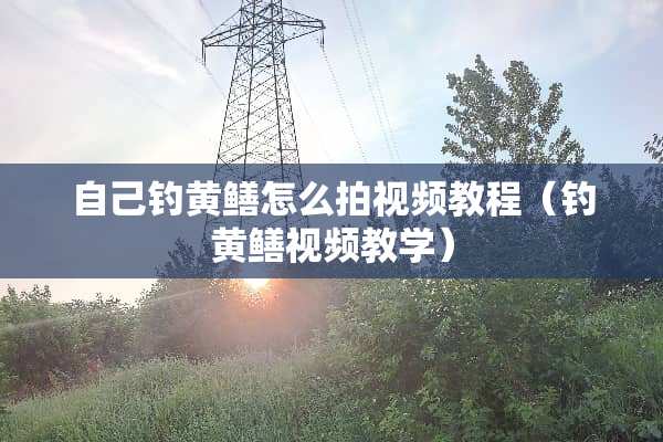 自己钓黄鳝怎么拍视频教程（钓黄鳝视频教学）