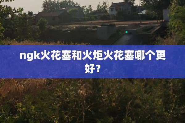 ngk火花塞和火炬火花塞哪个更好？