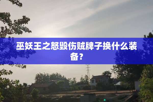巫妖王之怒毁伤贼牌子换什么装备？