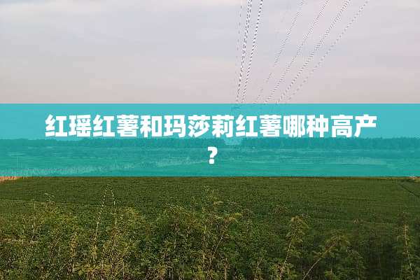 红瑶红薯和玛莎莉红薯哪种高产？