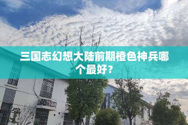 三国志幻想**前期橙色神兵哪个最好？