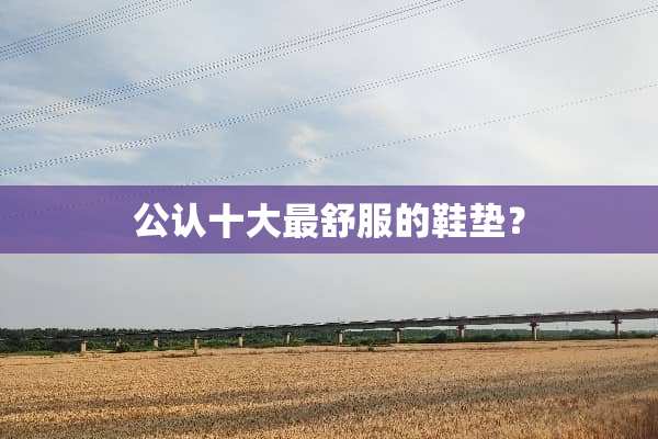 公认十大最舒服的鞋垫？