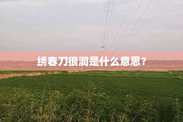 绣春刀很润是什么意思？