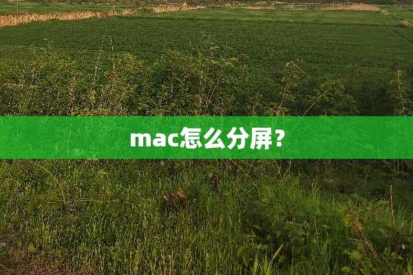 mac怎么分屏？